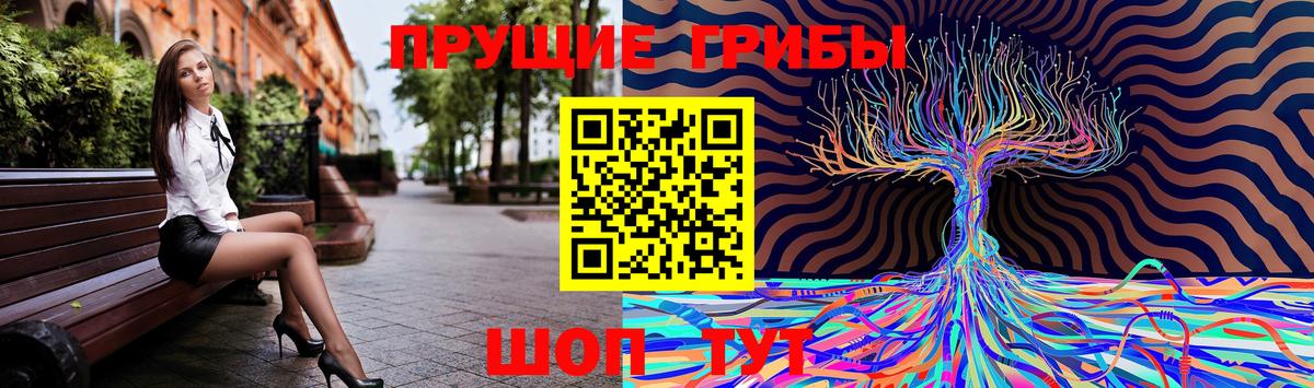 Псилоцибиновые грибы Magic Shrooms  Вход с VPN  Комсомольск-на-Амуре 