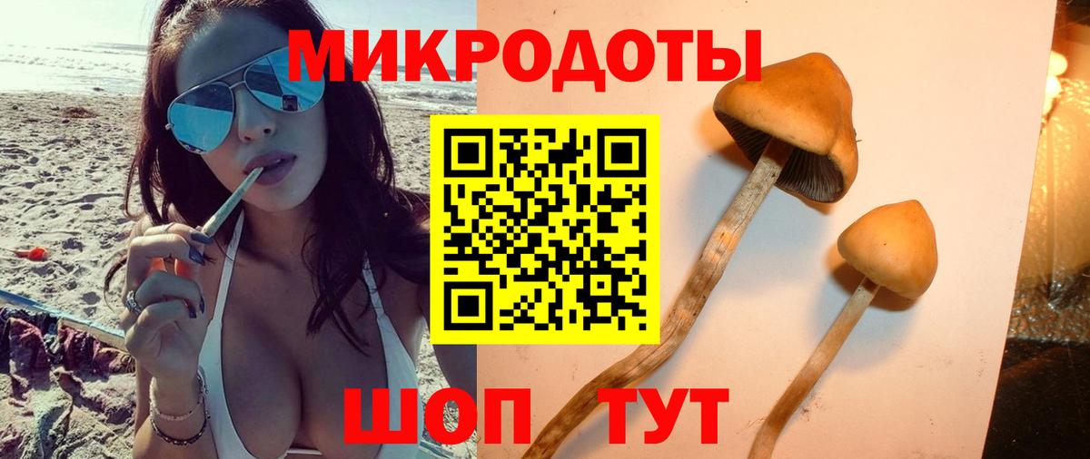 Псилоцибиновые грибы Magic Shrooms Комсомольск-на-Амуре
